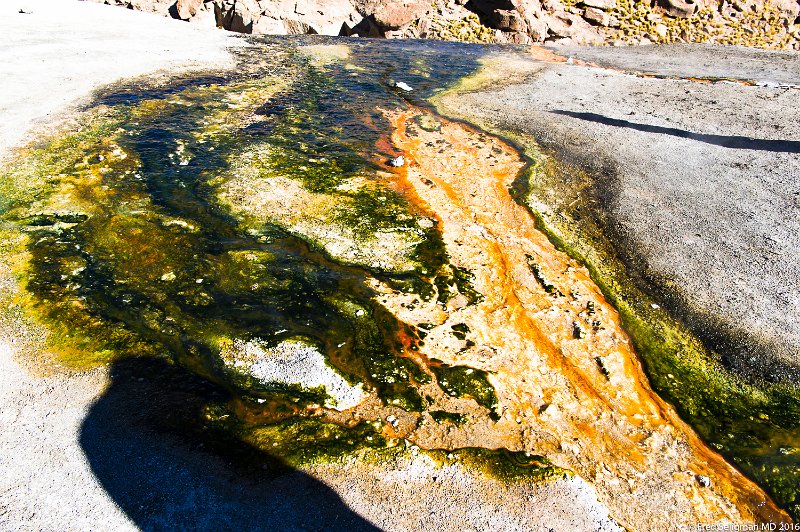 20160331_100747 D3S.jpg - Some rock formations at ground level from lava flows.   Make for some beautiful patterns.